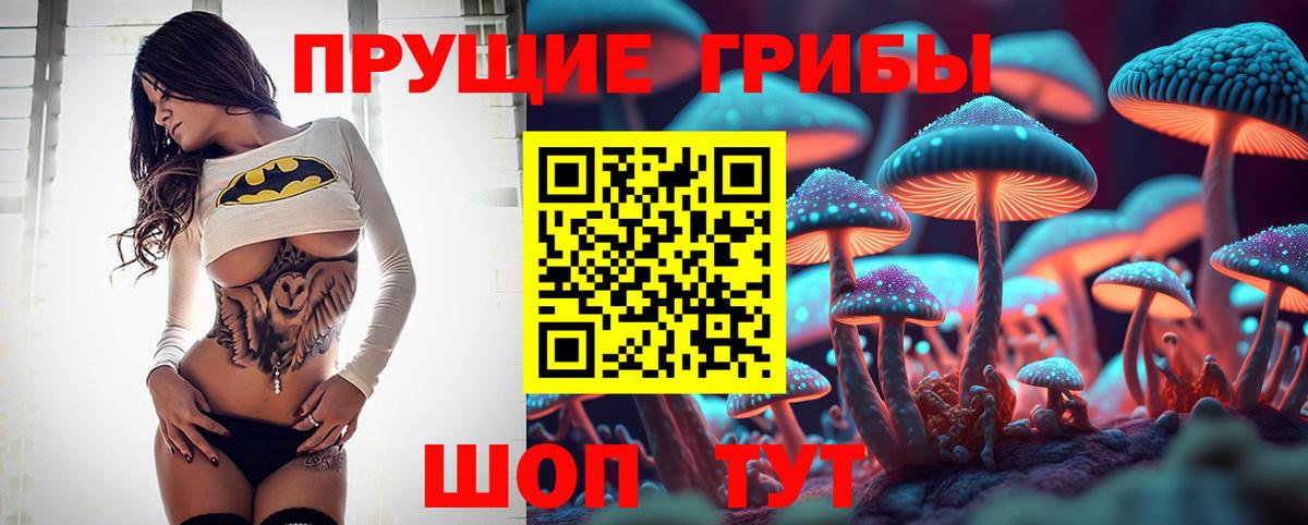Сосновоборск  Псилоцибиновые грибы MAGIC MUSHROOMS  Вход с VPN 